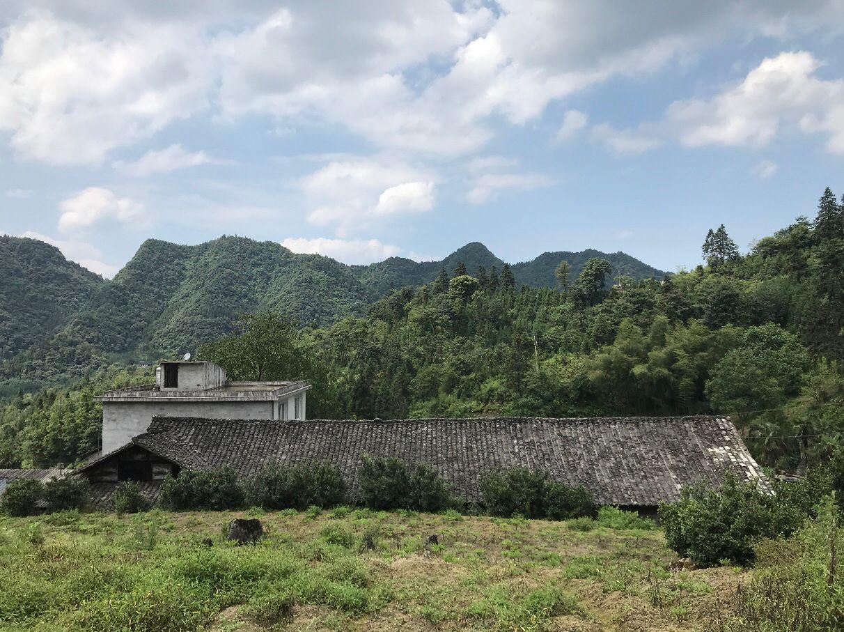 中国今日最新军情概览,中国最新军情概览,今日动态速递