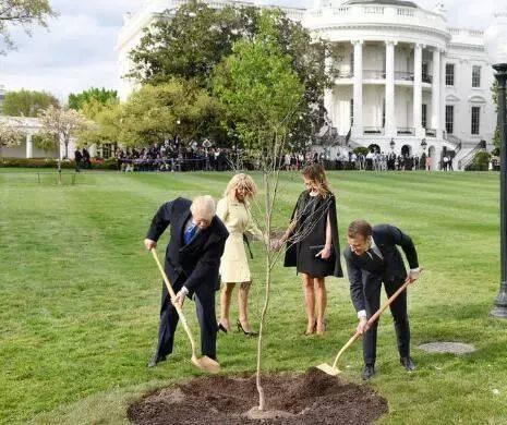 国宾护卫队迎接马克龙,彰显中法友好与礼仪之典范,国宾护卫队迎接马克龙,中法友好典范与礼仪彰显