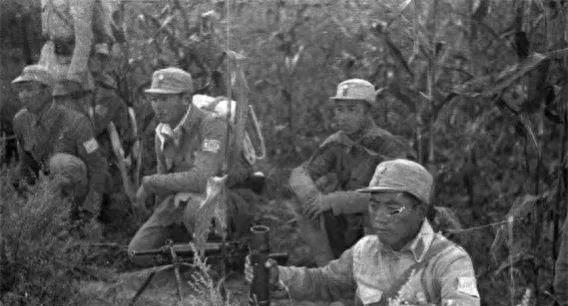 中国十八集团军简介,中国十八集团军简介概览