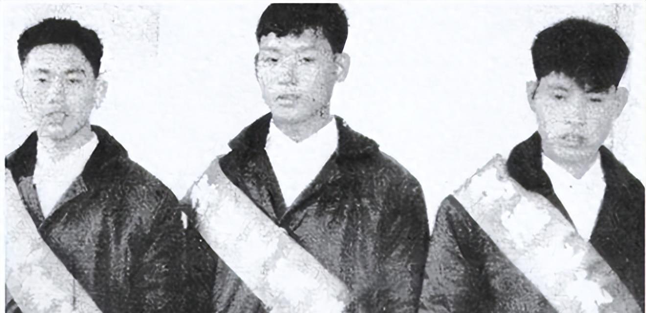 关于我国海军舰艇辽宁舰的升级板——深入解析其升级过程与未来展望(上),辽宁舰升级解析,深入探究升级过程与未来展望(上篇)