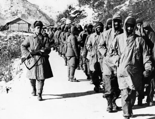 中国人民志愿军在抗美援朝战争中的荣耀称号,钢铁长城与和平卫士,中国人民志愿军,钢铁长城与和平卫士在抗美援朝战争中的荣耀称号