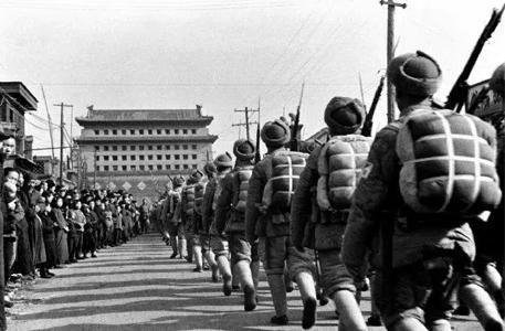 军改后三野部队的数量与变化,深度解析与探讨,军改后三野部队数量与变化深度解析,深度探讨与观察