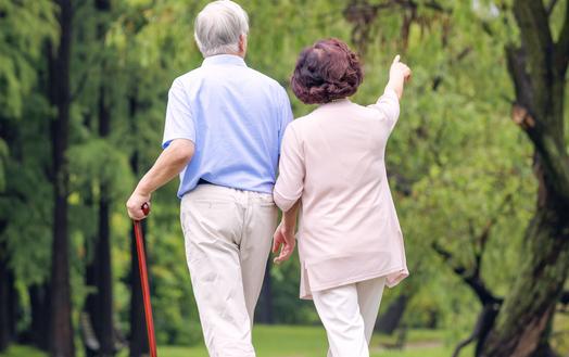 歼-10战斗机使用寿命探究,歼-10战斗机使用寿命深度解析