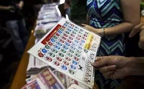 494949最快开奖结果 香港