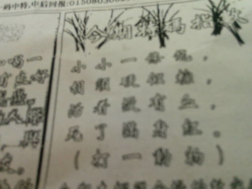 刘伯温论坛猜一生肖,历史、智慧与神秘色彩的交融,刘伯温论坛揭秘生肖之谜,历史、智慧与神秘色彩的交织