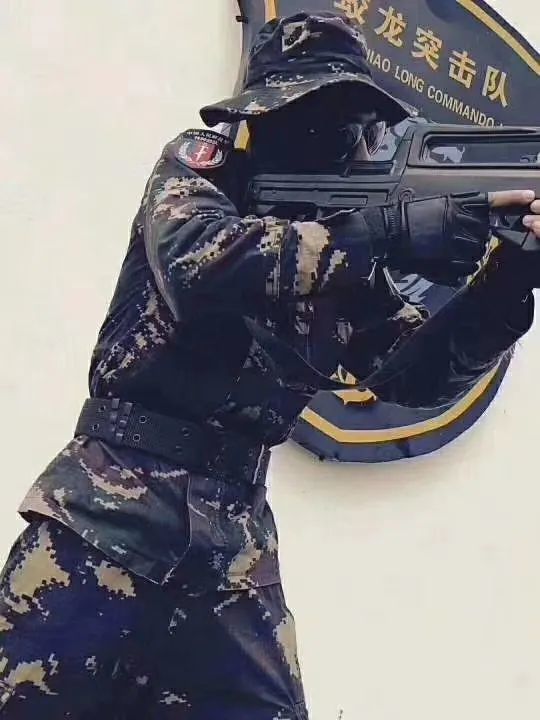 蛟龙突击队编号,荣耀与使命的象征,蛟龙突击队编号,荣耀使命的象征