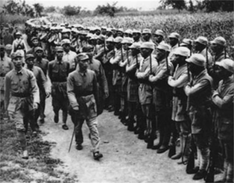 海南岛战役,我军历史上的辉煌篇章,海南岛战役,我军历史的辉煌篇章