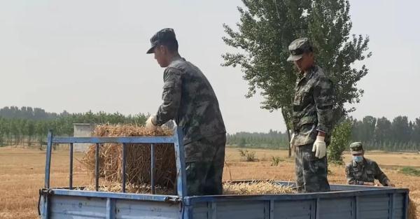 肖思远偷偷收麦子的故事，肖思远秘密收割麦子的故事