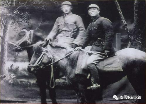 集团军处长级别的职责与角色解析,集团军处长级别的职责与角色深度解析