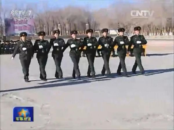 战略支援部队中的特种部队,存在与意义,战略支援部队中的特种部队,存在与意义解析