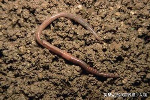 07点49分国际新闻辟谣,国际新闻辟谣,揭秘真相,还原事实