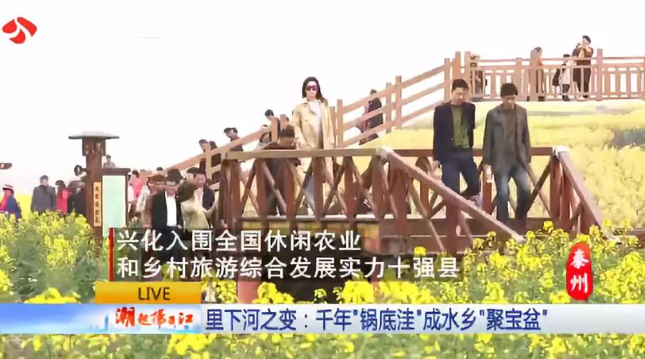 泰州黄桥今天特大新闻,历史与现代的交汇点,黄桥新篇章的开启,泰州黄桥,历史与现代交汇,新篇章开启的今日特大新闻