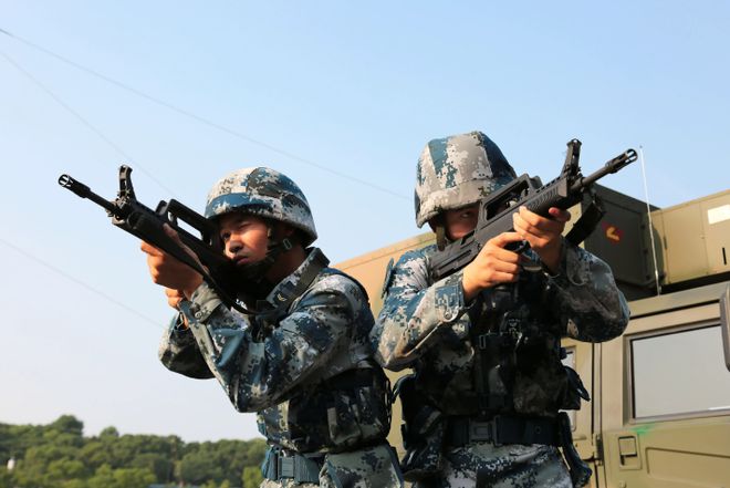 东部战区直属队的兵种解析,东部战区直属队兵种深度解析