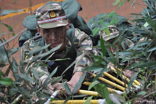 陆军与武警的区别,职责、组织及功能的不同之处,陆军与武警职责、组织及功能差异解析