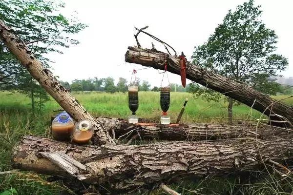 获得过猎人勋章的中国人,荣耀与传奇,获得猎人勋章的中国人,荣耀传奇之路