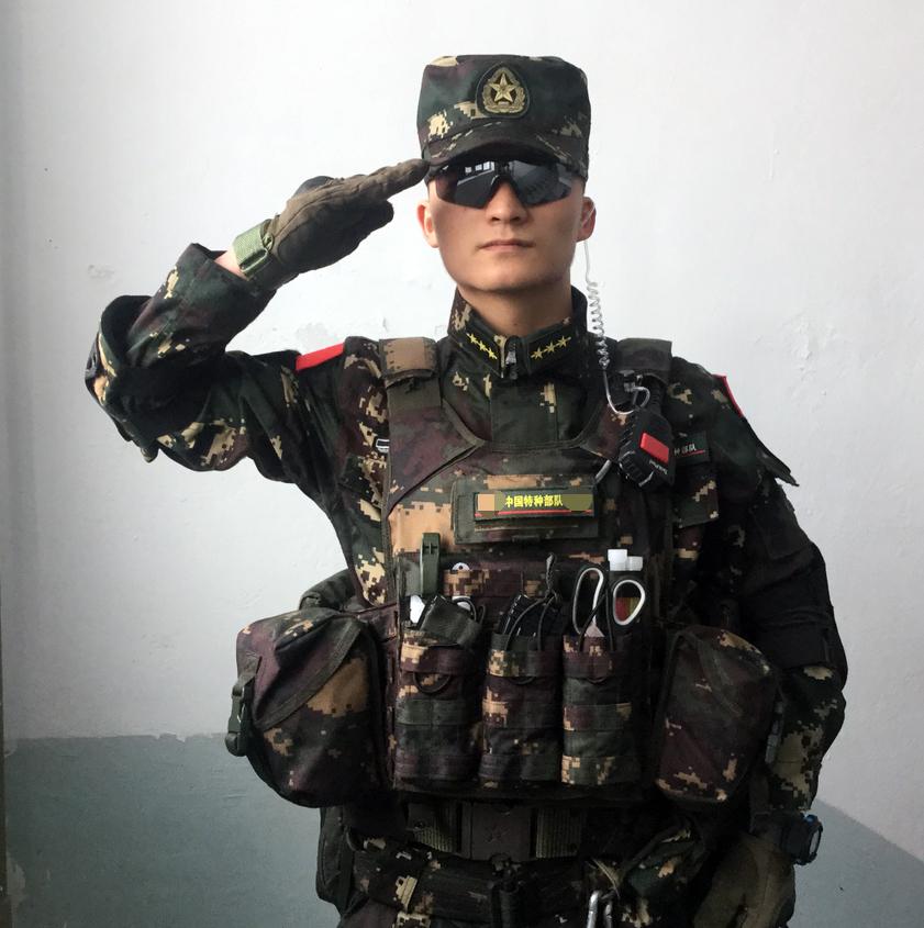 中美陆军装备对比与发展趋势分析,中美陆军装备对比与发展趋势深度剖析