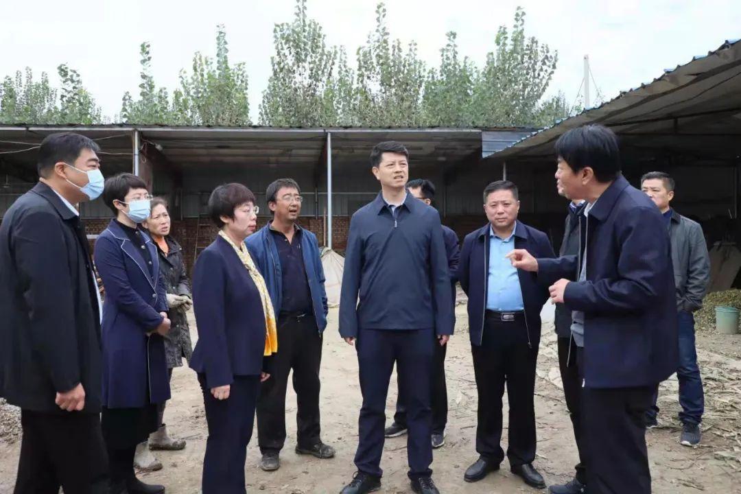 今日重大事件最新国际新闻，今日重大事件，最新国际新闻概述