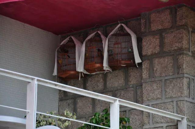 新澳门天天彩期期精准,探索彩票预测的奥秘,新澳门天天彩期精准预测,揭秘彩票奥秘