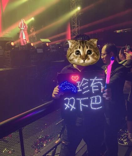 探索澳门未来之光,2025新澳门正版免费挂牌灯牌,澳门未来之光揭秘,2025新正版免费挂牌灯牌探索