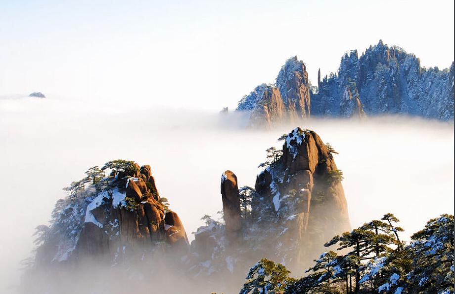 三军仪仗队名称变更探究,三军仪仗队名称变更深度解析