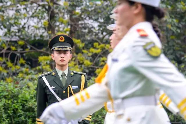 国旗护卫队所属兵种解析,国旗护卫队所属兵种深度解析