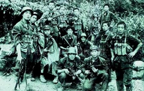 中越战争火箭炮齐射视频,历史与现实的交汇,中越战争火箭炮齐射瞬间,历史与现实的震撼交汇