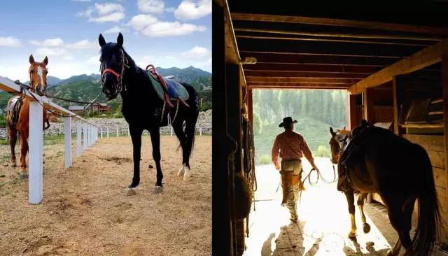 美国西部的人口状况探究,美国西部人口状况深度探究