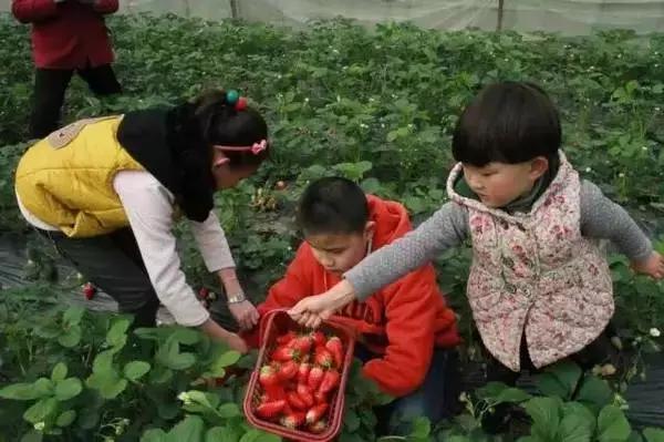 多地取消元旦休假，影响与挑战，多地取消元旦休假，影响与应对挑战