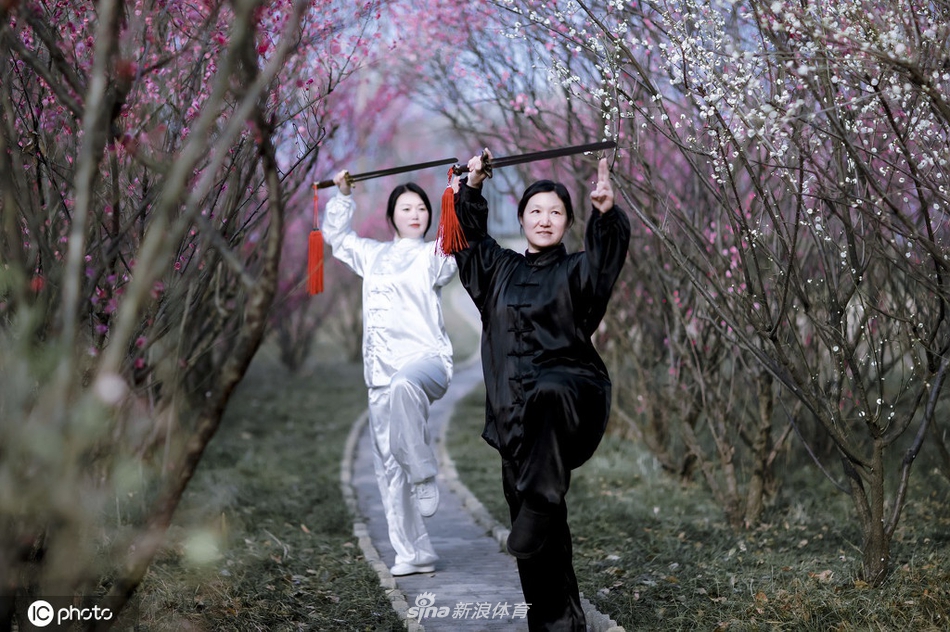 揭秘刘伯温一肖码期期中特的神秘面纱,刘伯温一肖码期期中特,神秘面纱下的真相揭秘