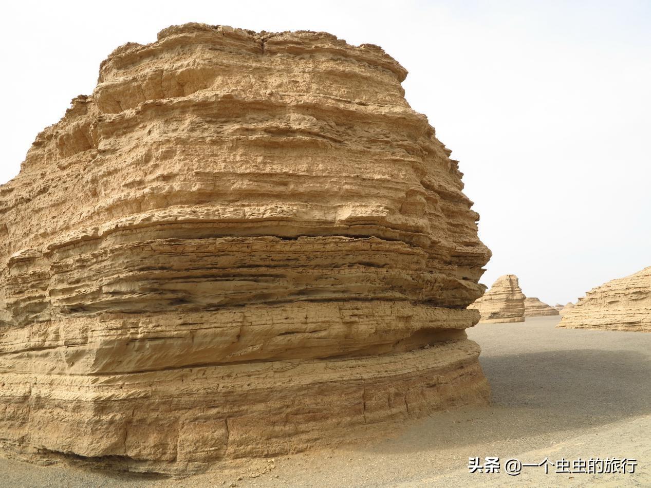 中国海军西海舰队的崛起与贡献，中国海军西海舰队的崛起及其卓越贡献