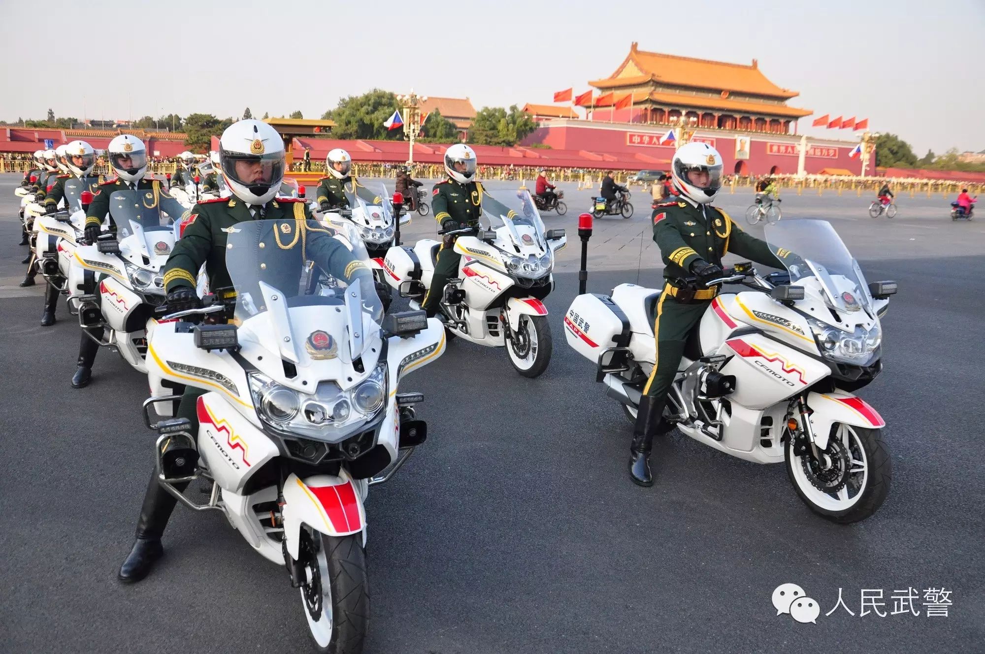 国宾护卫队正步,荣耀与责任的体现,国宾护卫队正步,荣耀与责任的彰显