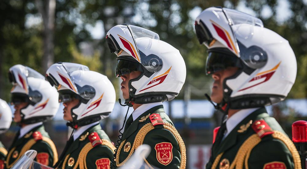 国宾护卫队正步,荣耀与责任的体现,国宾护卫队正步,荣耀与责任的彰显