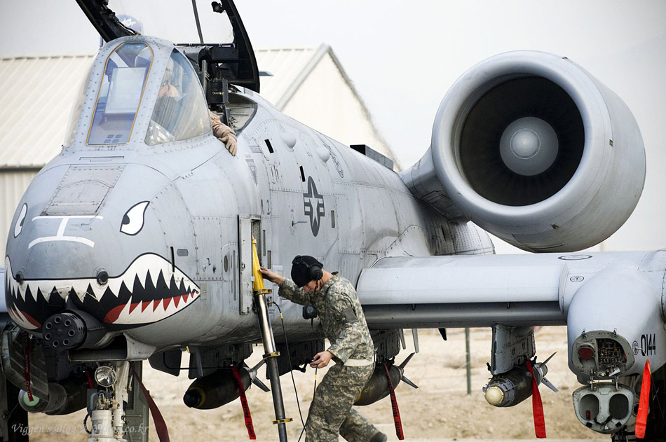 A10疣猪最新消息,探索未知领域的先锋战士,A10疣猪最新动态,先锋战士深入探索未知领域