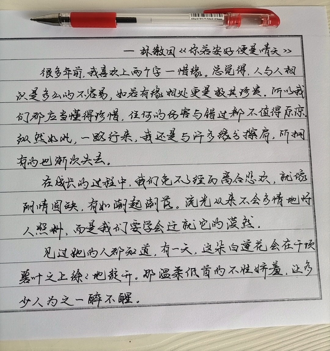 2024年新闻摘抄,科技、社会与经济的新动态,2024年科技、社会与经济的新动态概览
