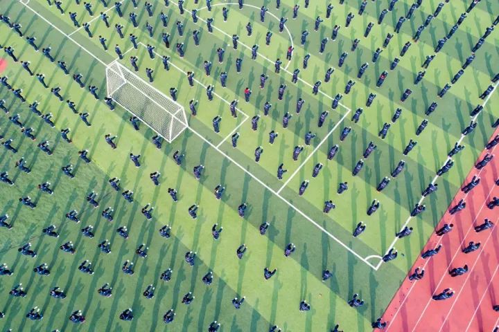 新澳门一码一肖一特一中与高考趋势展望(2025篇),2025年高考趋势展望,新澳门一码一肖一特一中分析