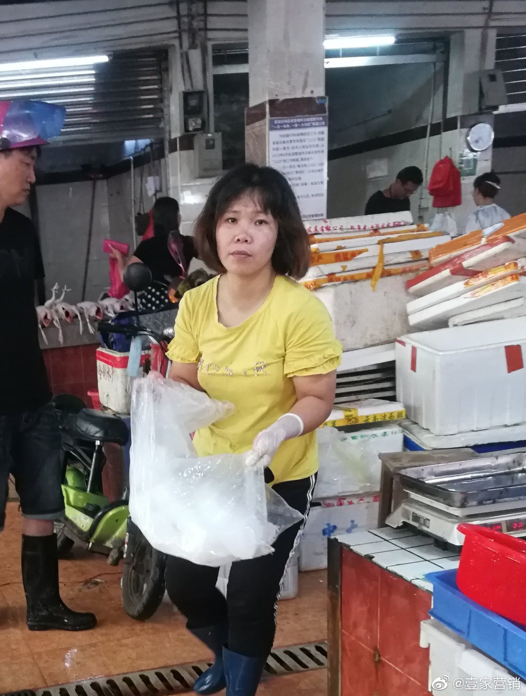 华南海鲜市场女老板照片背后的故事,华南海鲜市场女老板背后的故事揭秘