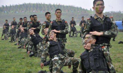 中国女特种部队排名,实力与荣耀的象征,中国女特种部队排名揭秘,实力与荣耀的象征之巅