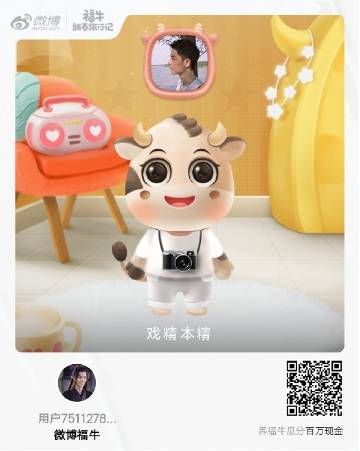 一肖一码一一肖一子，探寻背后的神秘与魅力，探寻生肖一码一子的神秘魅力与背后故事