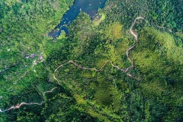 澳门未来展望，走向繁荣的蓝图（澳门走势图分析），澳门未来展望，繁荣蓝图与走势图分析