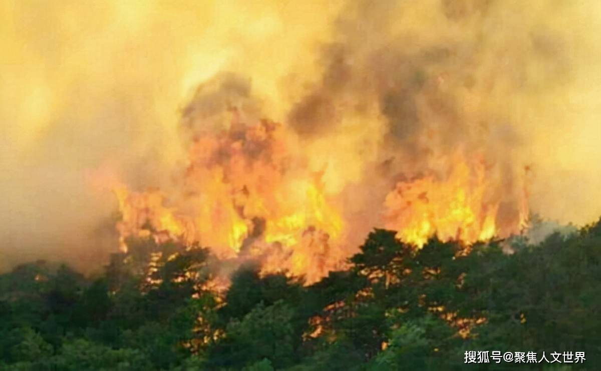 独臂英雄丁晓兵,战场上的坚韧与荣耀,独臂英雄丁晓兵,战场上的坚韧与荣耀之路