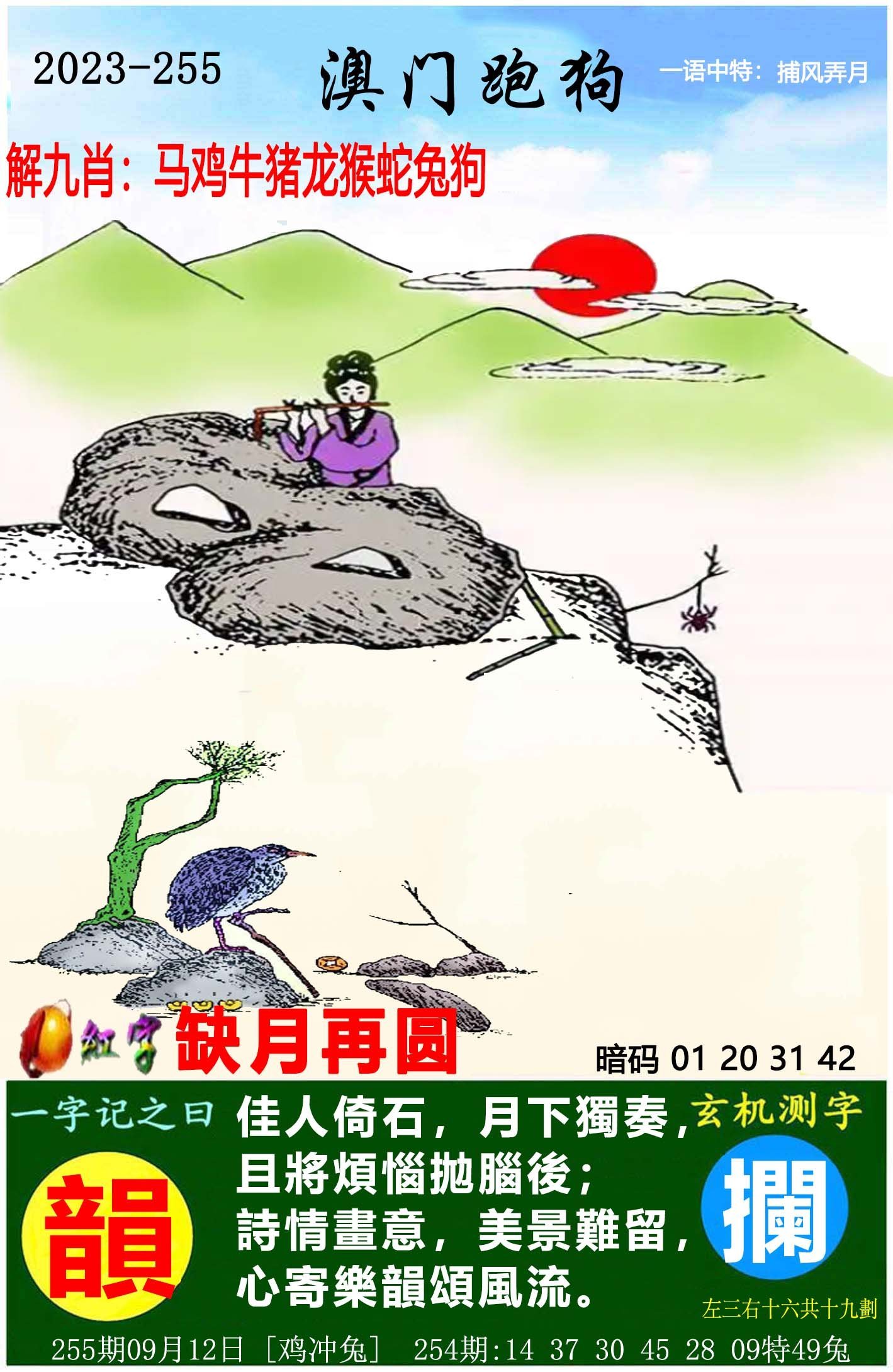 澳门天天开好彩大全,探索彩票文化中的希望与梦想(第53期分析),澳门彩票文化深度解析,希望与梦想的探索之旅(第53期分析)