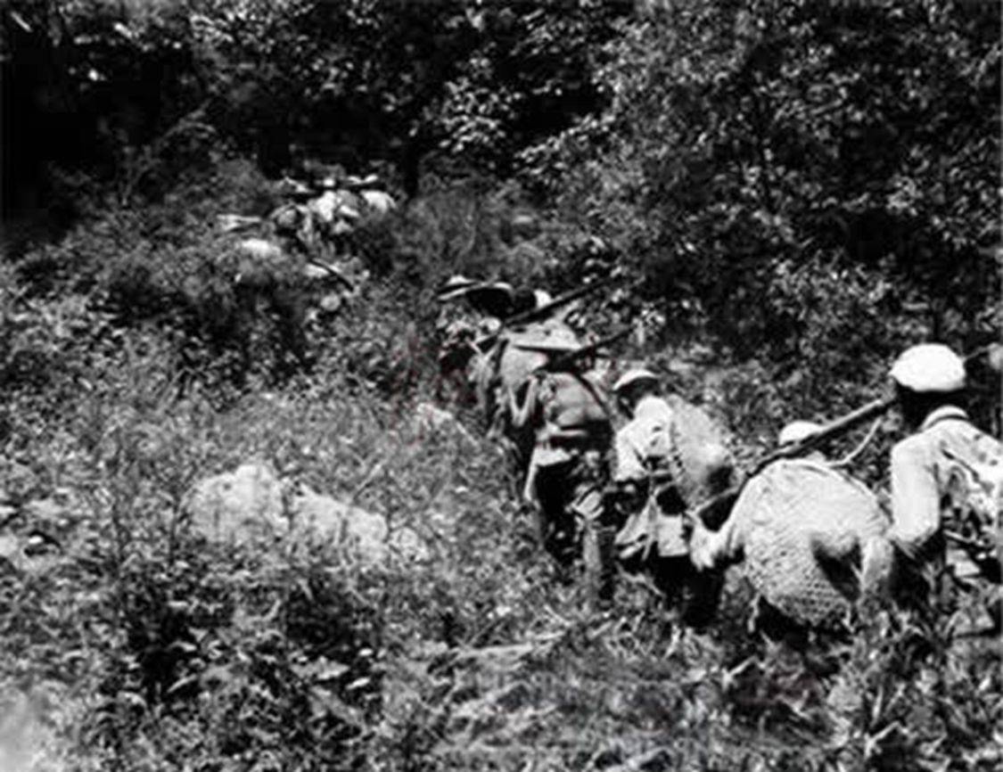 黎登贵,西南猎人的传奇人生,黎登贵,西南猎人传奇人生之旅