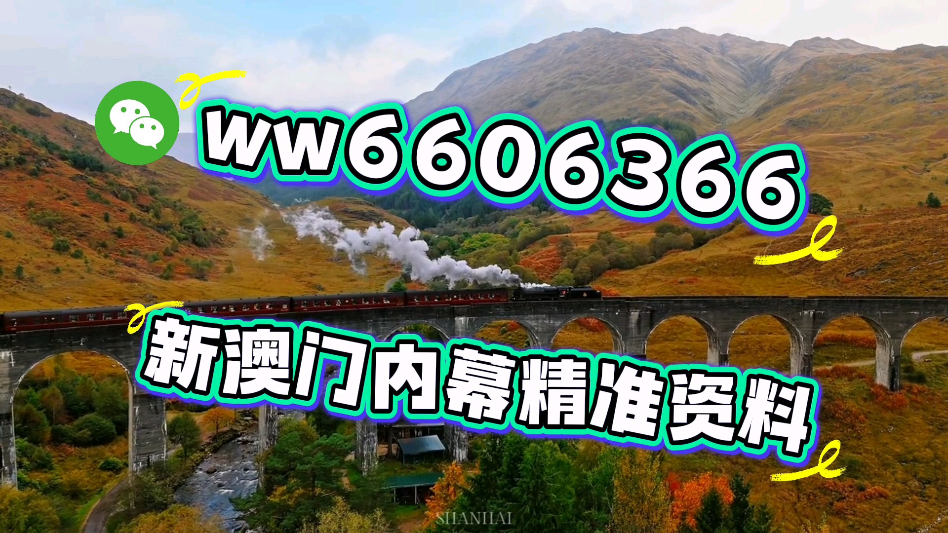 澳门六开彩开奖结果今日分析,澳门六开彩今日开奖结果深度分析
