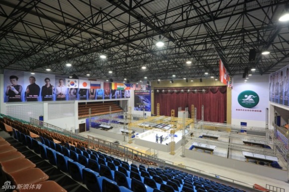 王中王一肖一马期期中一,探寻背后的故事与意义,探寻王中王一肖一马期期中一背后的故事与深层含义