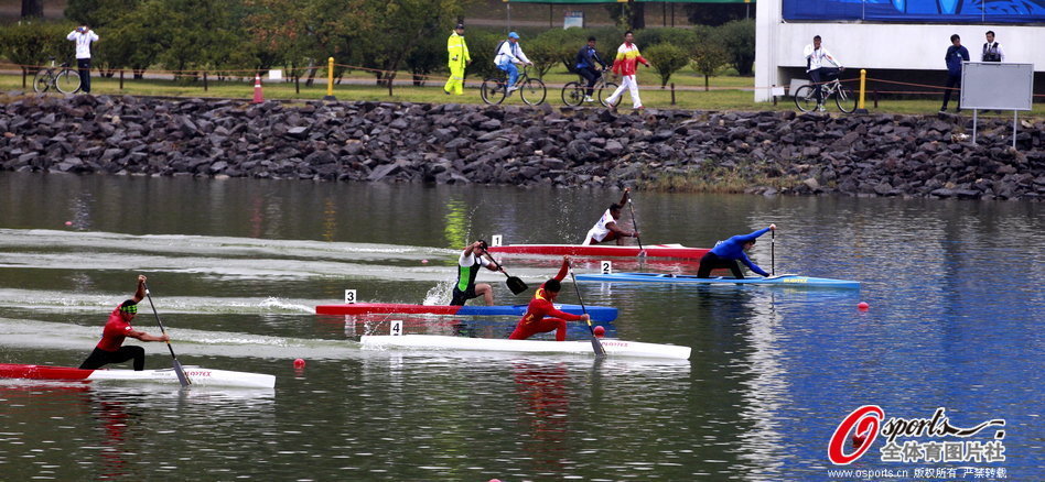 王中王一肖一马期期中一,探寻背后的故事与意义,探寻王中王一肖一马期期中一背后的故事与深层含义