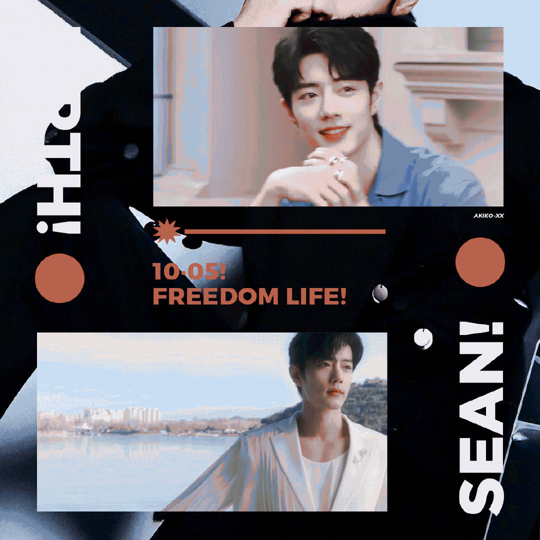 一肖一码一一肖一子，探寻背后的神秘与意义，探寻生肖与一码一子背后的神秘与寓意