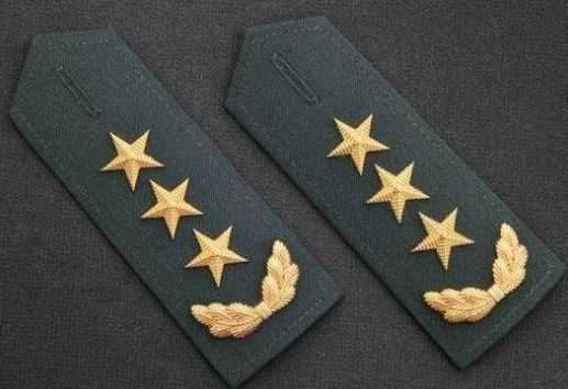 中国军衔等级中的正营级,职责与荣誉的象征,中国正营级军衔,职责与荣誉的象征解读