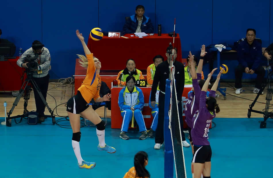 王中王白小姐四肖选一,探索神秘的选择艺术,王中王白小姐四肖选一,揭秘神秘选择艺术之旅