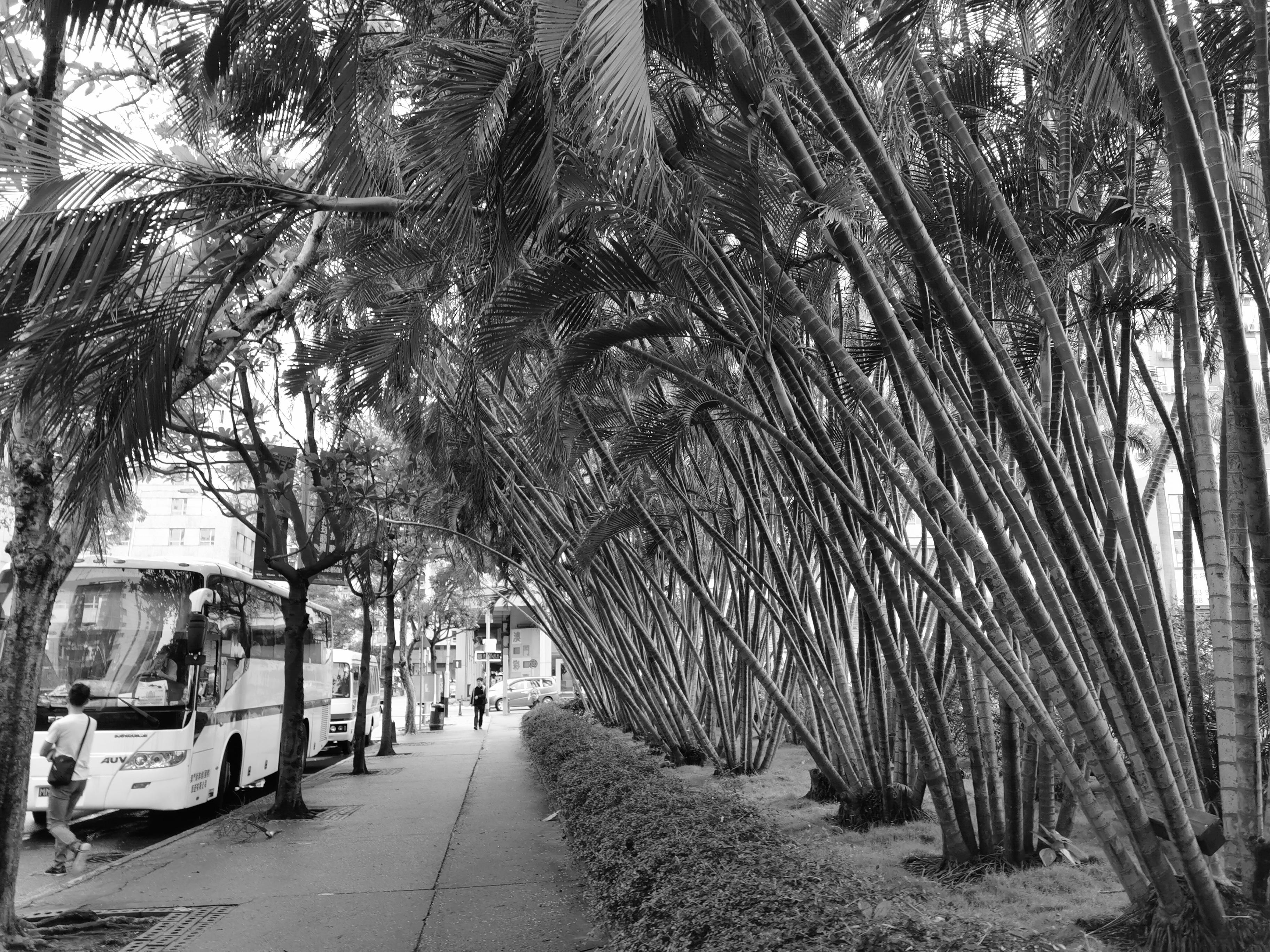 澳门手机最快开奖结果解析,澳门手机最快开奖结果解析及预测