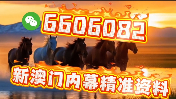 文化魅力与预测逻辑探寻